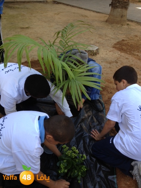 a3malmersatyaffa (24).JPG